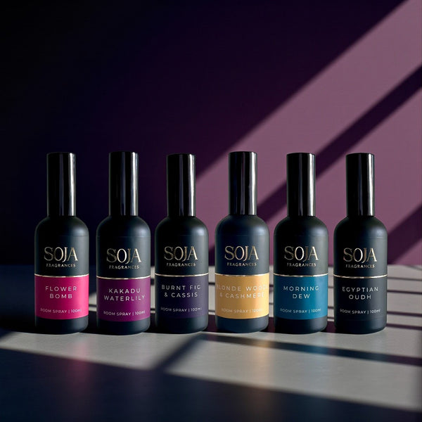 Burnt Fig & Cassis 100ml Room Spray