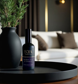 Burnt Fig & Cassis 100ml Room Spray