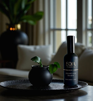 Egyptian Oudh 100ml Room Spray