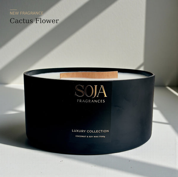 The Luxury Collection - Cactus Flower